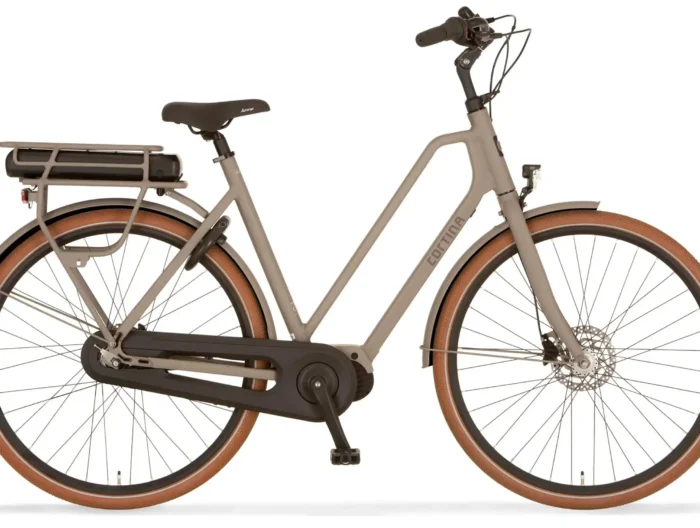 Elektrisches Fahrrad CORTINA E-FOSS