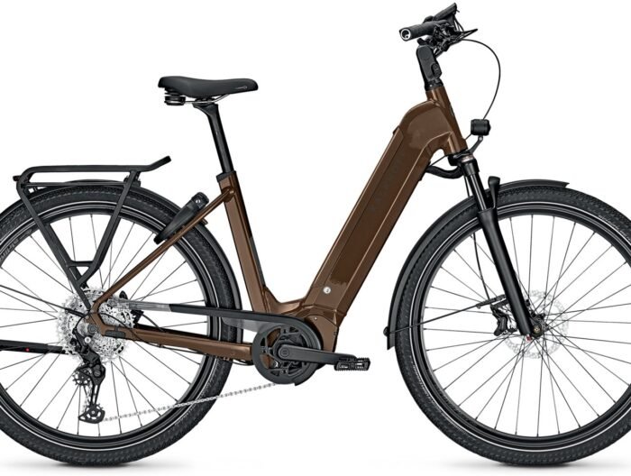 Kalkhoff Endeavour 5.B Advance+