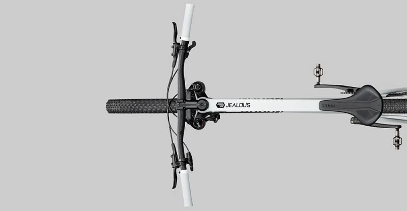 Radon Jealous AL 8.0 – Image 3