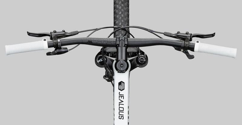 Radon Jealous AL 8.0 – Image 6