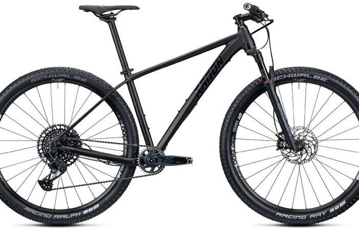 Radon Jealous AL 9.0 MS