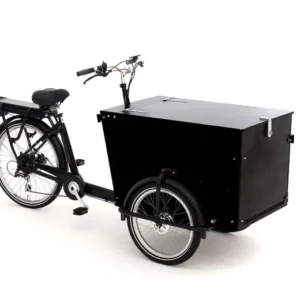 Babboe Pro Trike-E 300L RB/HD 450