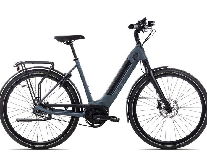 Gazelle Ultimate C8+ HMB Belt