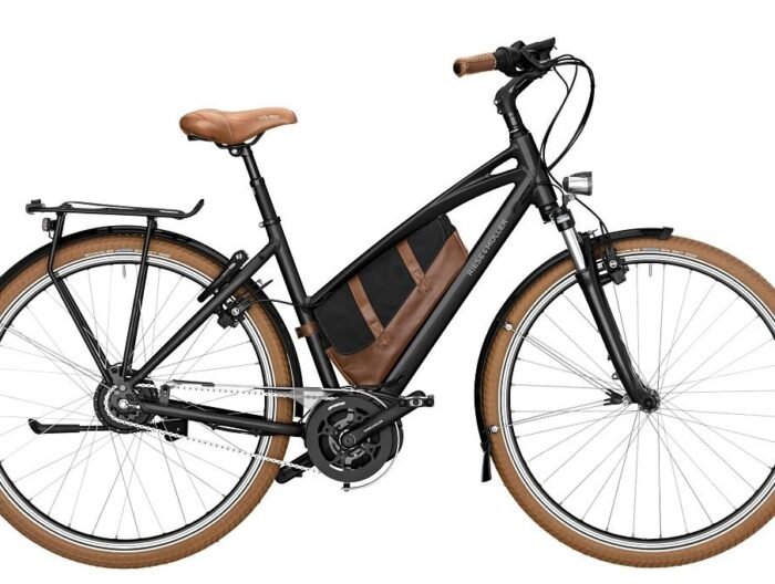 Riese und Müller Cruiser Mixte