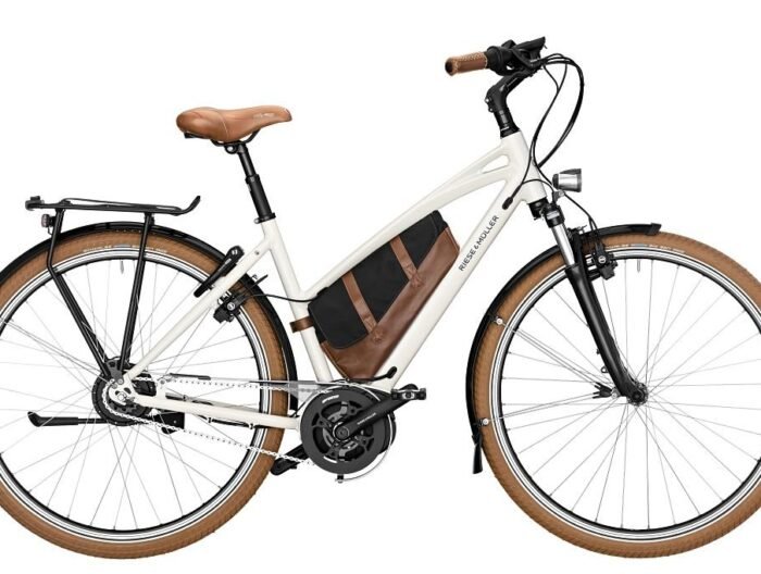 Riese und Müller Cruiser Mixte